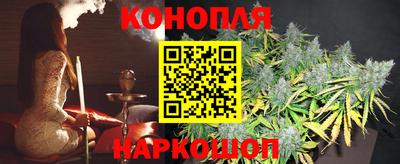 гидра Краснознаменск